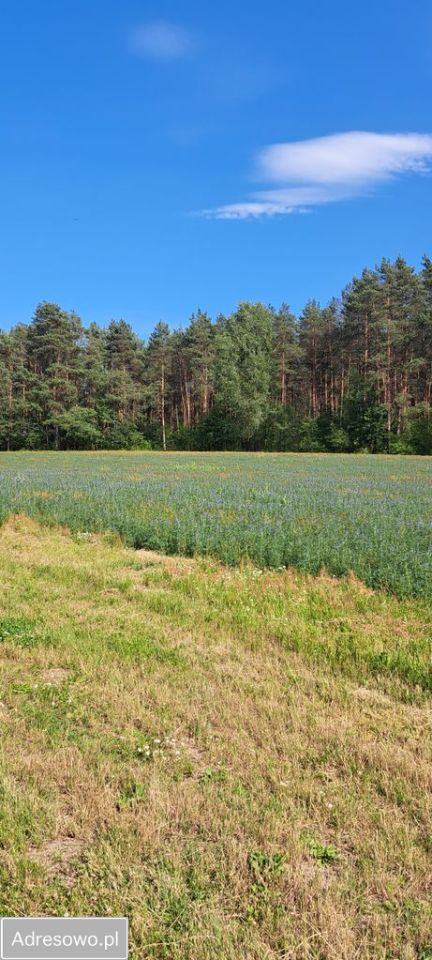 dom wolnostojący, 3 pokoje Nowa Wrona. Zdjęcie 15