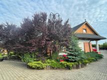 dom wolnostojący, 5 pokoi Ksawerów Nowy, ul. Aleksandra Fredry. Zdjęcie 2