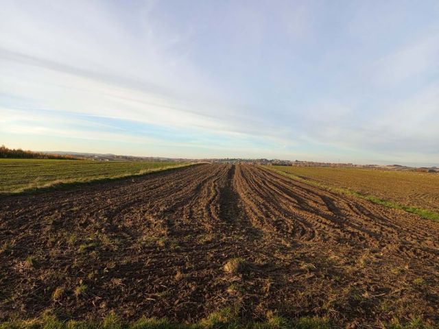 Działka rolna Trojanowice. Zdjęcie 1