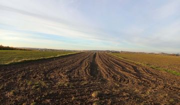 Działka rolna Trojanowice