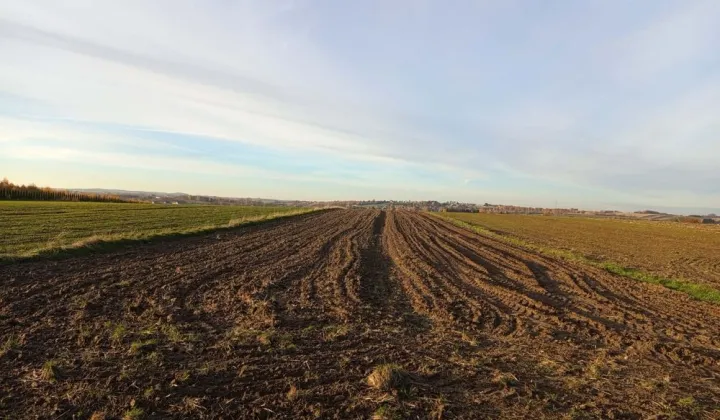 Działka rolna Trojanowice