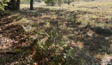 Działka budowlana Miłowo