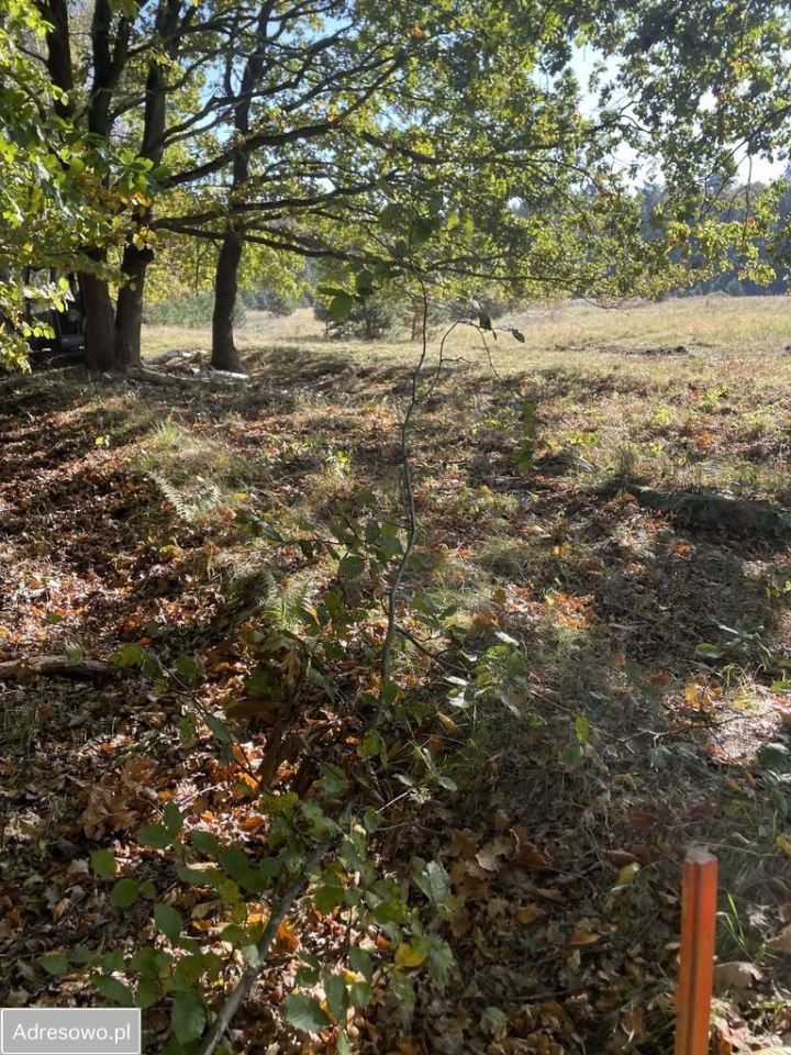 Działka budowlana Miłowo. Zdjęcie 2