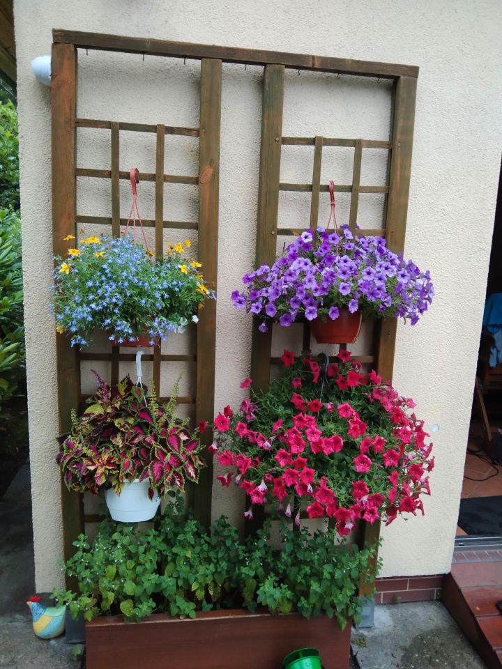 Działka rekreacyjna Katowice Ligota, ul. Zadole. Zdjęcie 11