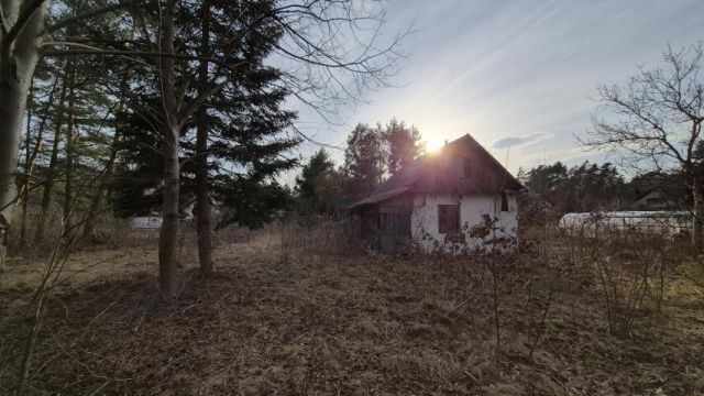 Działka budowlana Pilawa. Zdjęcie 1