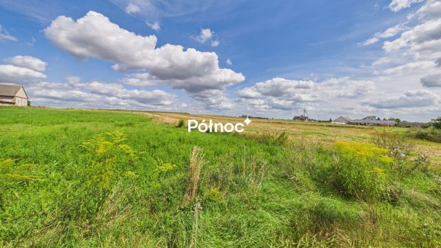 dom wolnostojący, 10 pokoi Żelechy. Zdjęcie 49