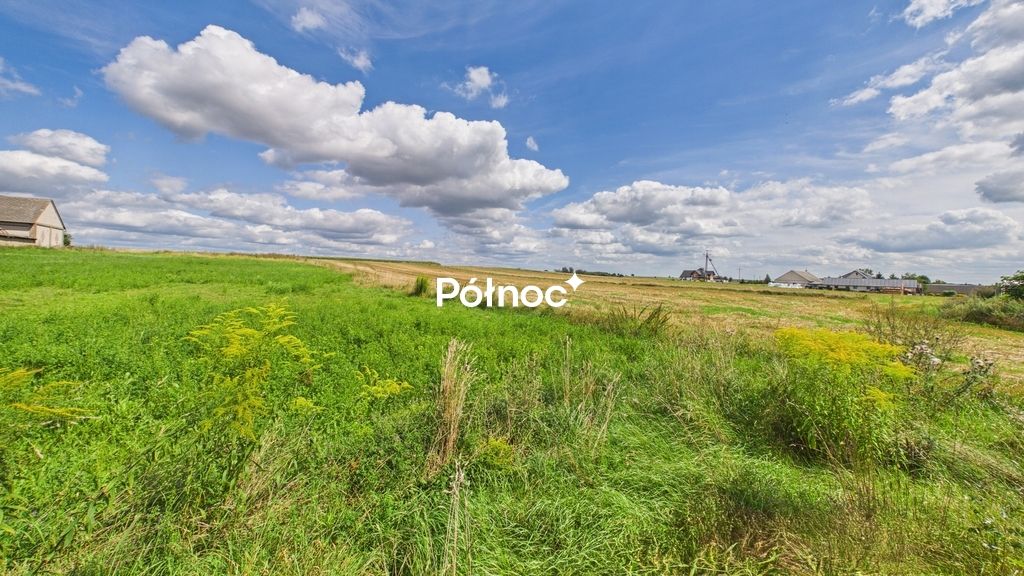 dom wolnostojący, 10 pokoi Żelechy. Zdjęcie 49