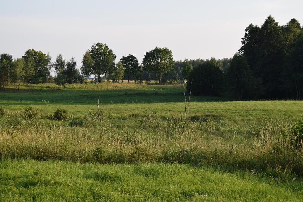 Działka budowlana Rydzewo. Zdjęcie 7