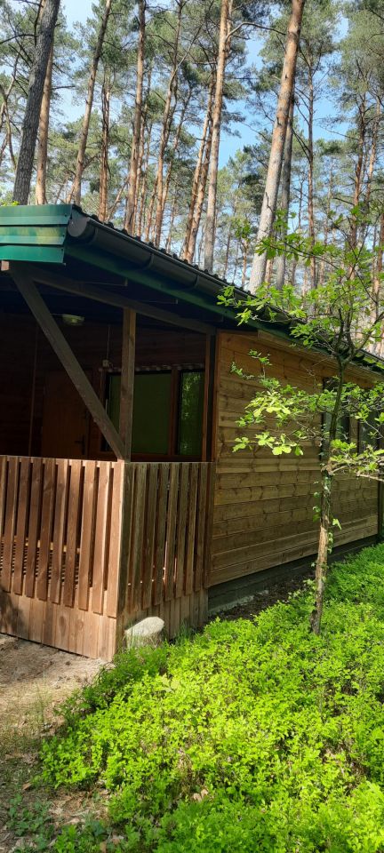 dom letniskowy, 3 pokoje Barcice Kępa Barcicka. Zdjęcie 2