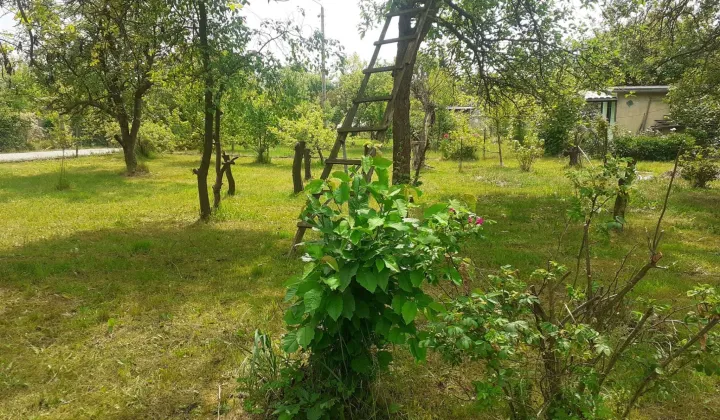 Działka rod Gliwice Stare Gliwice, ul. Kozielska