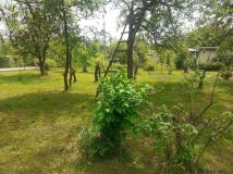 Działka rod Gliwice Stare Gliwice, ul. Kozielska