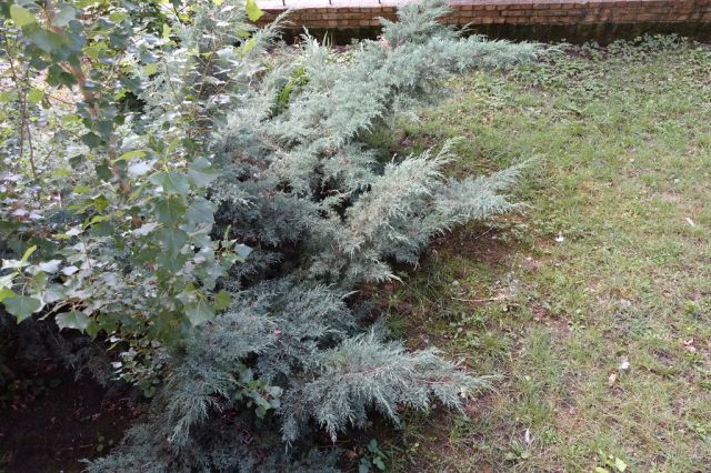 Mieszkanie 2-pokojowe Szczecin, ul. 1 Maja. Zdjęcie 18