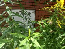 Działka budowlana Siestrzeń, ul. Nad Lasem. Zdjęcie 3