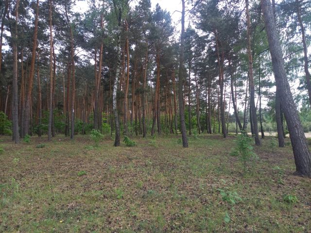 Działka inwestycyjna Wręcza. Zdjęcie 7