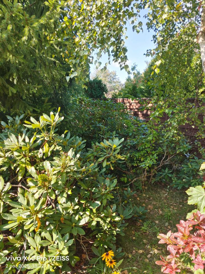 Działka rod Łódź Widzew, ul. Opolska. Zdjęcie 8