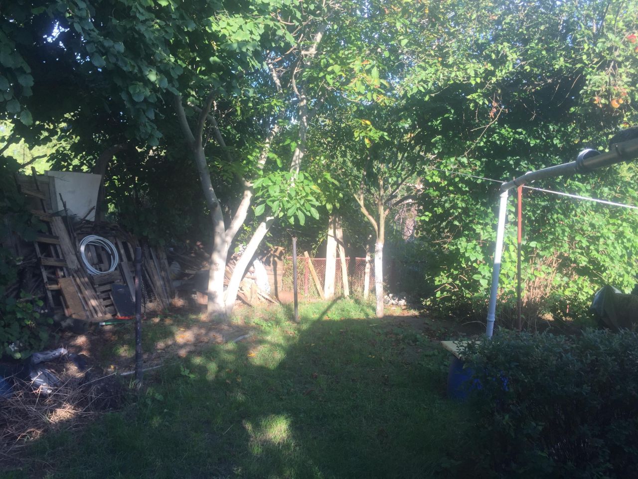 Działka rod Wrocław Osobowice, ul. Krotoszyńska. Zdjęcie 16