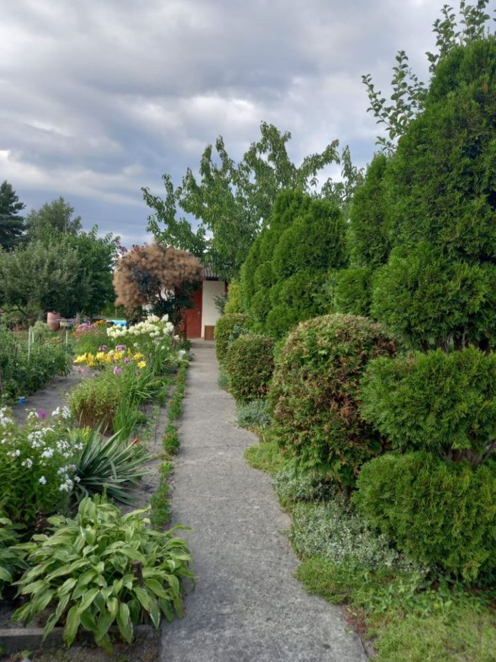 Działka rod Skierniewice. Zdjęcie 8