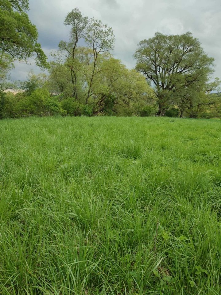 Działka rolna Dobra. Zdjęcie 2