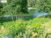 Działka budowlana Zgniłocha