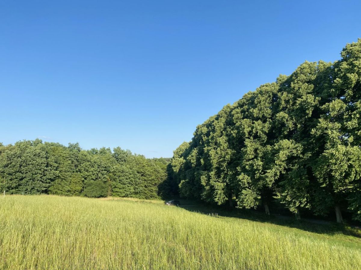 Działka budowlana Łapino Kartuskie. Zdjęcie 2