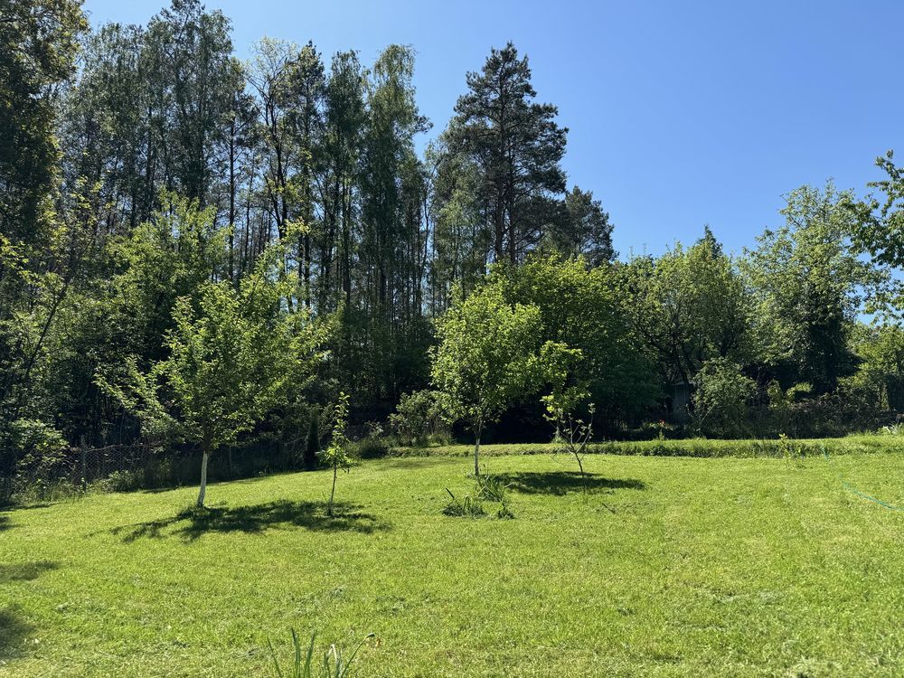 Działka rod Wilkanowo. Zdjęcie 7