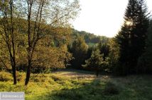 Działka Pewel Wielka. Zdjęcie 4