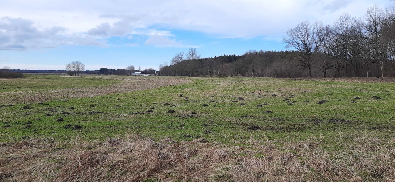 Działka budowlana Krakulice. Zdjęcie 4