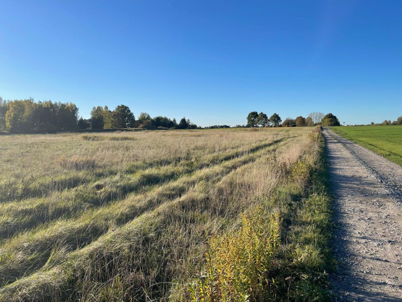 Działka budowlana Łąki. Zdjęcie 9