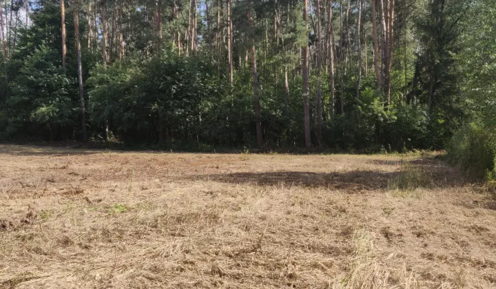 Działka rolno-budowlana Chachalnia, ul. Ostrowska