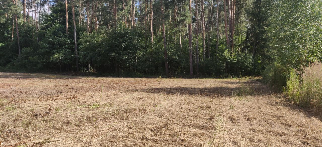 Działka rolno-budowlana Chachalnia, ul. Ostrowska