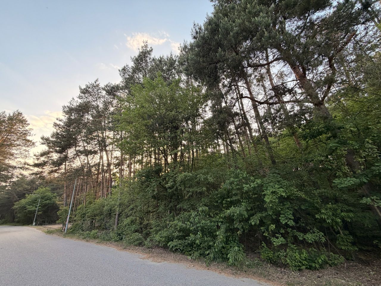 Działka budowlana Bukowiec Bukowiec Duży, ul. Fiołkowa. Zdjęcie 7