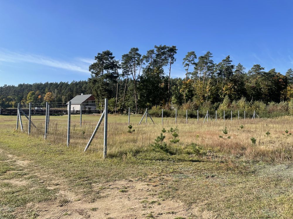 Działka budowlana Lisewo. Zdjęcie 5