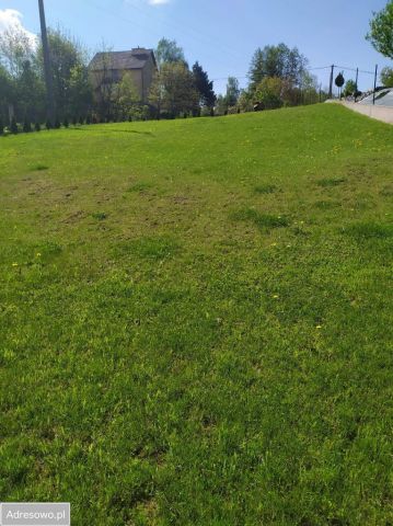 Działka budowlana Ochojno Cosówka. Zdjęcie 1