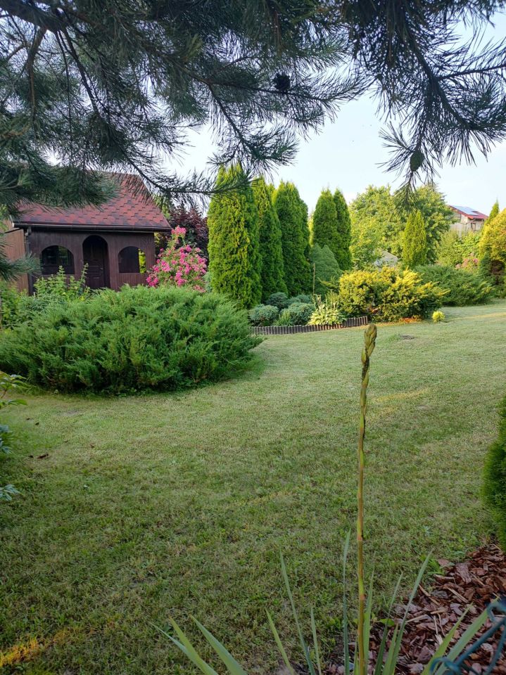 Działka rod Świdnik. Zdjęcie 2