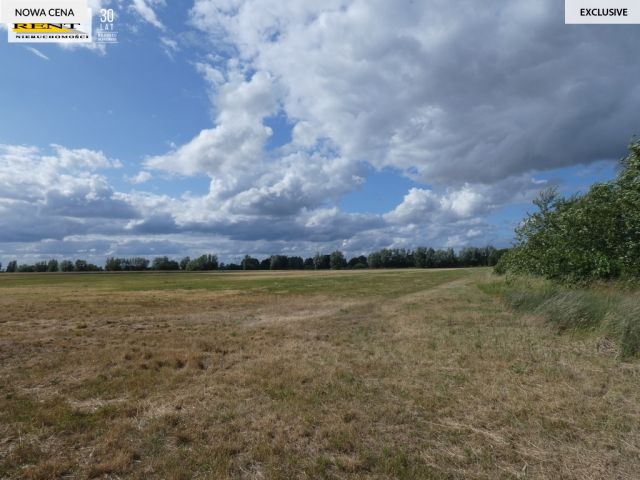Działka budowlana Racimierz Łąka. Zdjęcie 2