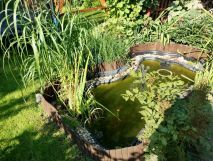 Działka rod Brodnica. Zdjęcie 1