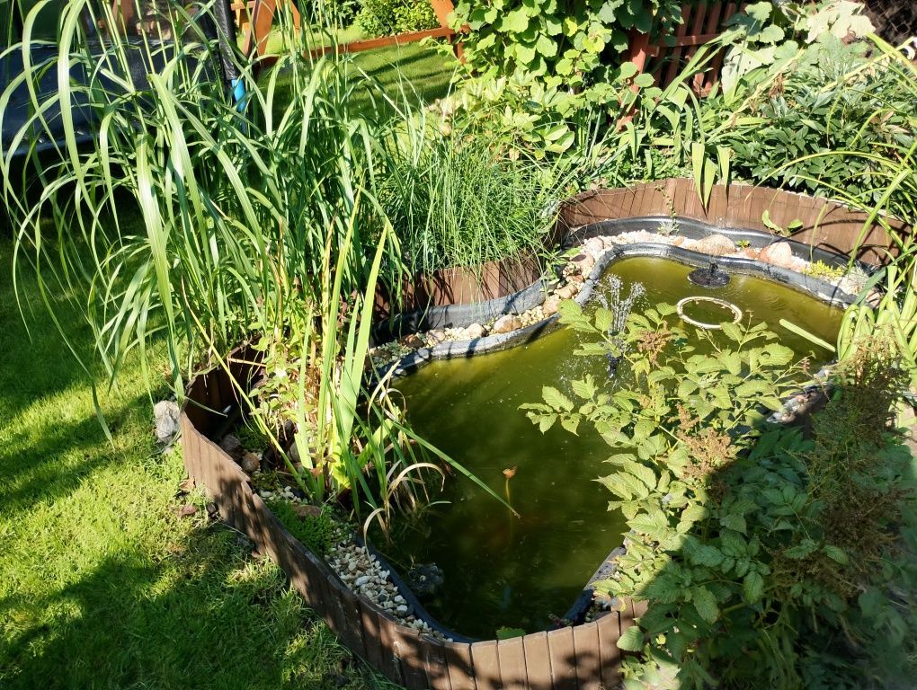 Działka rod Brodnica. Zdjęcie 2