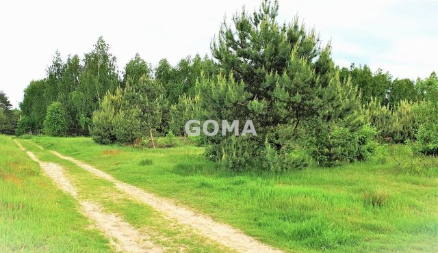 Działka budowlana Kąck. Zdjęcie 2