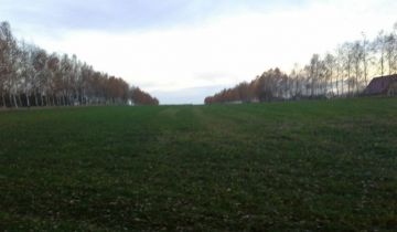 Działka budowlana Lutobórz