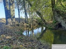 Działka rolno-budowlana Baszki. Zdjęcie 1