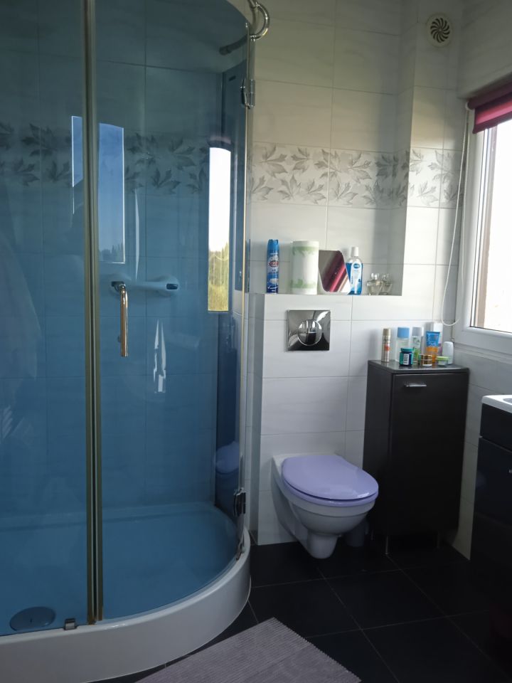 dom wolnostojący, 4 pokoje Joniec-Kolonia. Zdjęcie 26