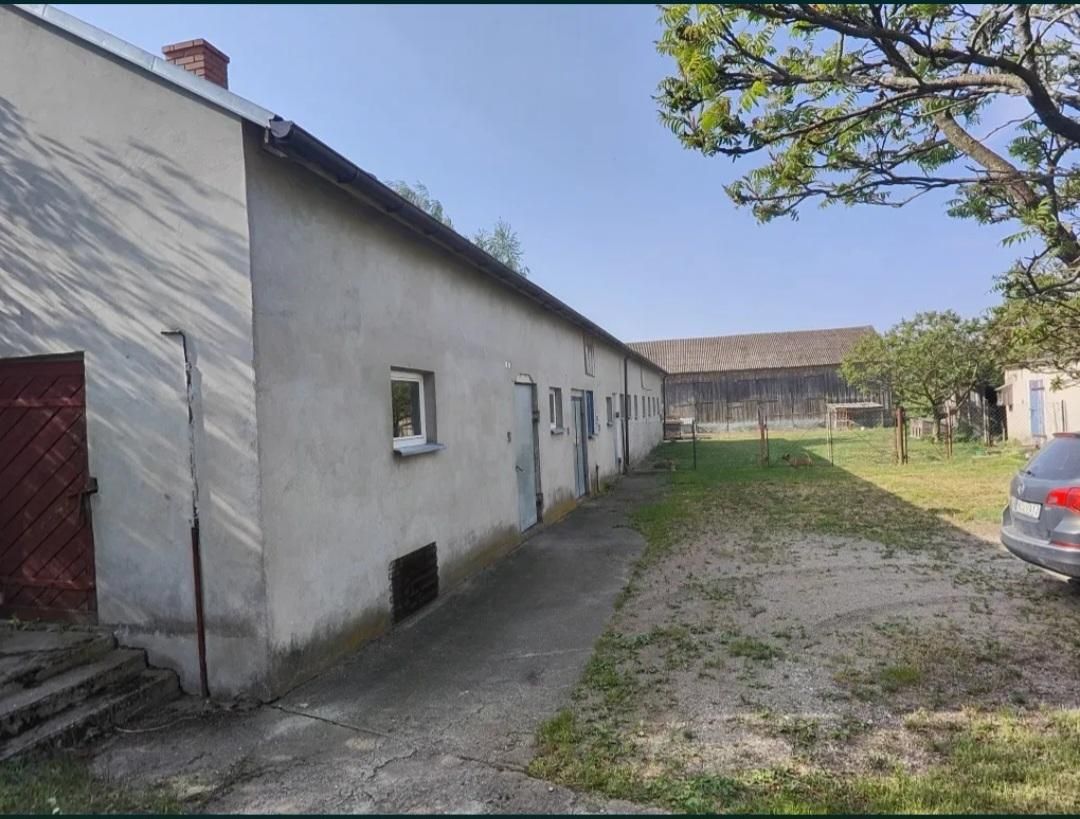 Działka siedliskowa Pokrytki. Zdjęcie 3