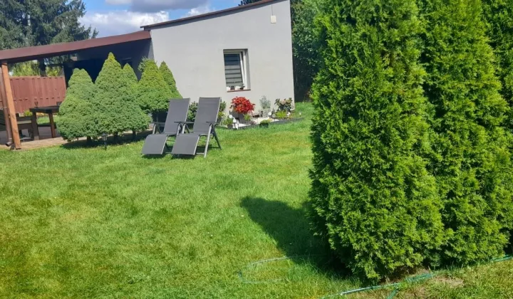 Działka rod Włocławek Łęg