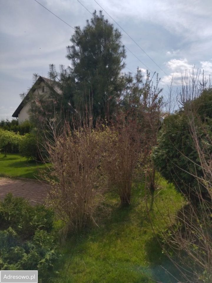 Hotel/pensjonat Mysłakowice. Zdjęcie 8