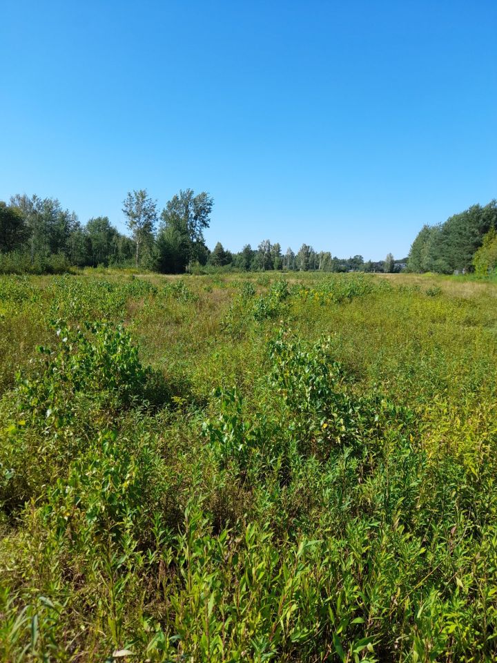 Działka budowlana Kołaków. Zdjęcie 4