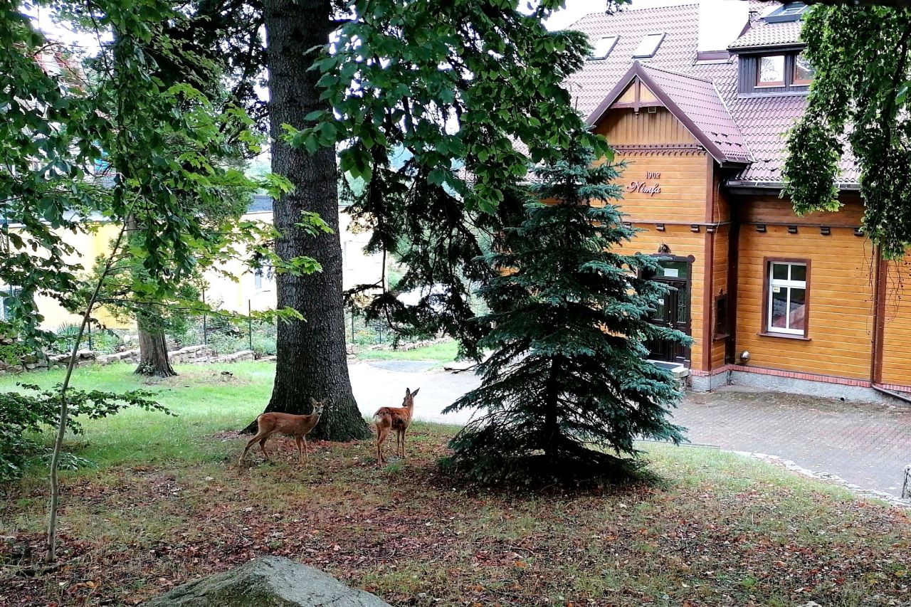 Hotel/pensjonat Szklarska Poręba, ul. Franciszkańska. Zdjęcie 9