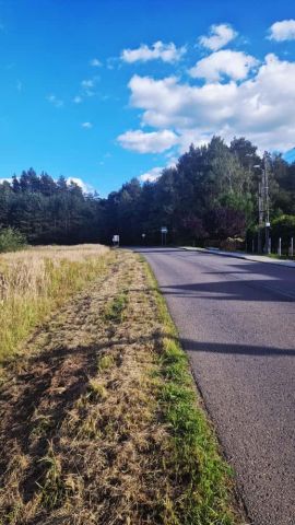 Działka Potępa, ul. Tarnogórska. Zdjęcie 3