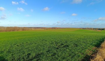 Działka rolna Skrzypki