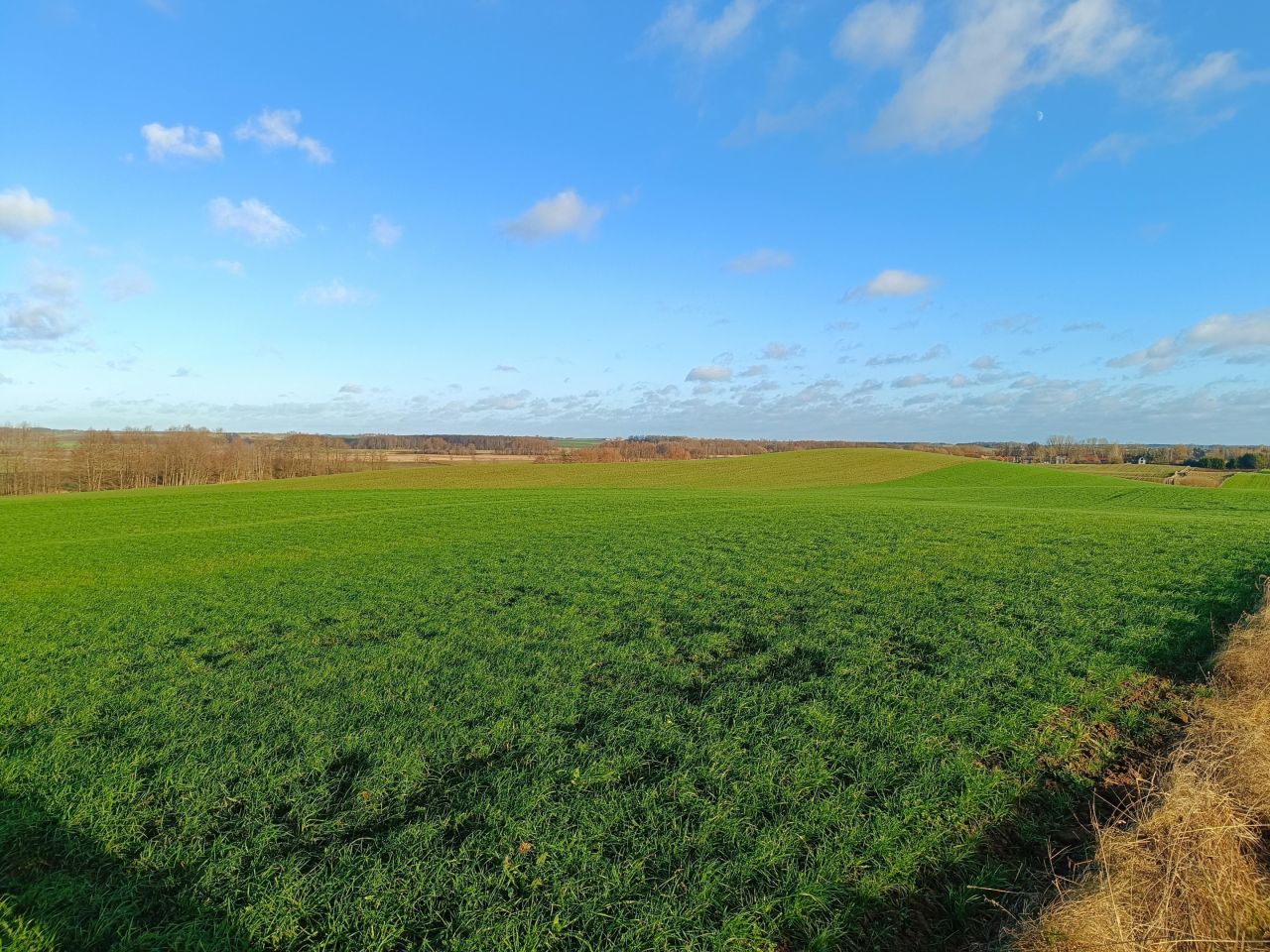 Działka rolna Skrzypki. Zdjęcie 2