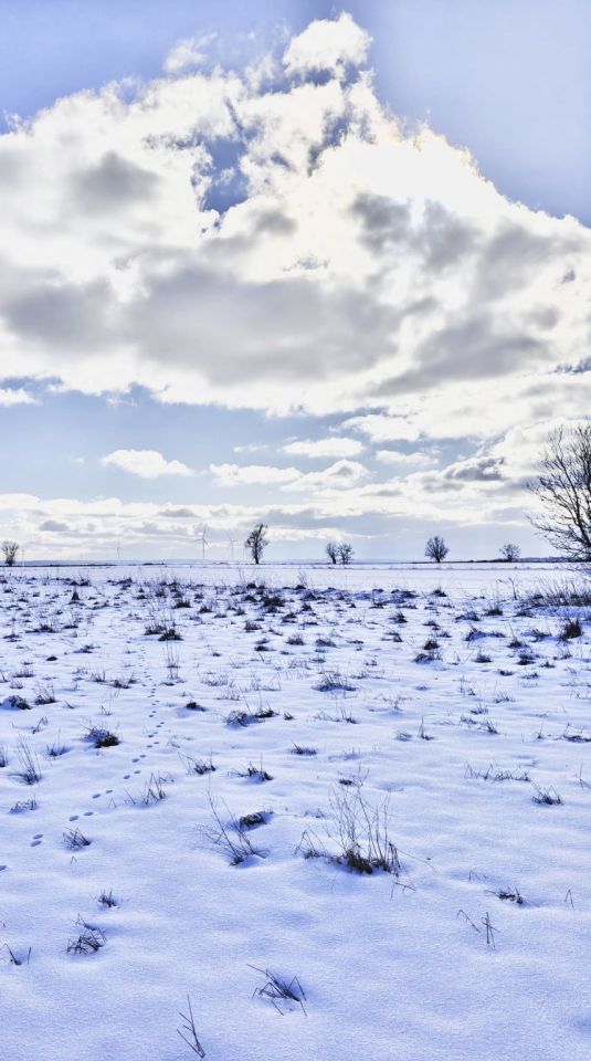 Działka budowlana Sierakowo Słupskie, ul. Polna. Zdjęcie 2